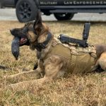 TSE K9 Farbkamera, wasserdicht, salzwasserfest und mit internem Batteriefach, passend für die meisten bestehenden Hundegeschirre.